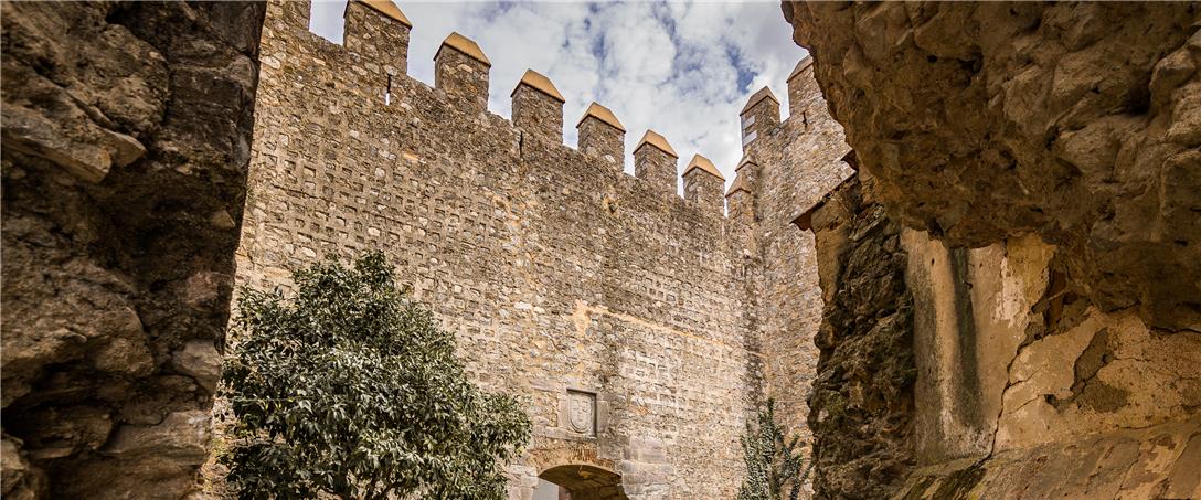 Foto | Ricardo Zambujo