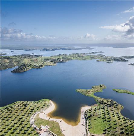 Foto | Ricardo Zambujo