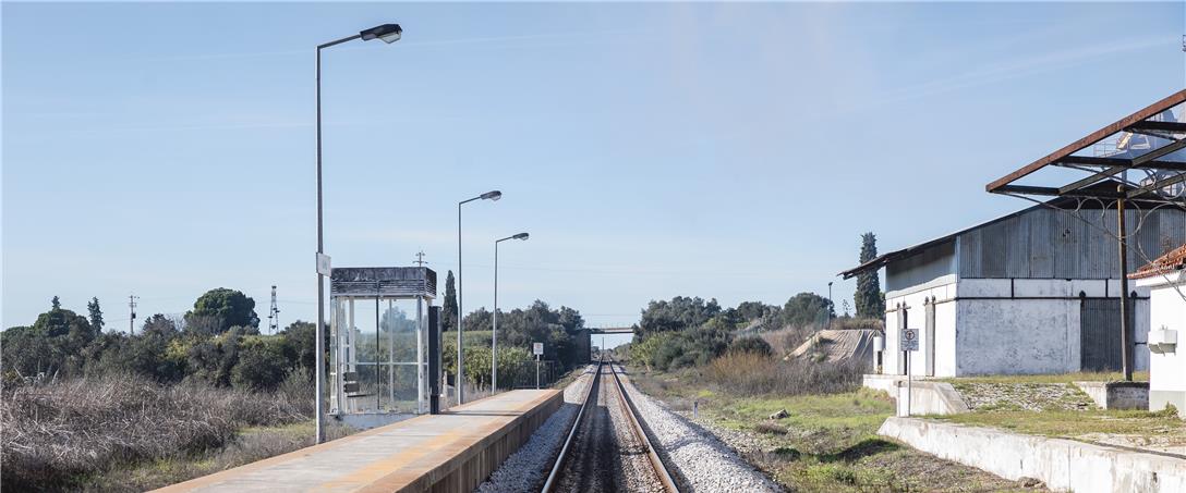 Foto | Ricardo Zambujo