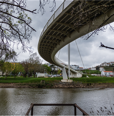 Foto | Ricardo Zambujo