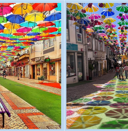 Foto | CM Castro Verde