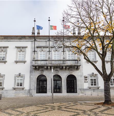 Foto | Ricardo Zambujo