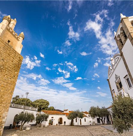 Foto | Ricardo Zambujo