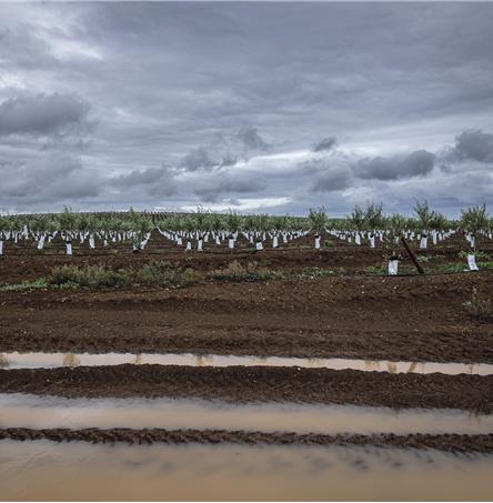 Foto| Ricardo Zambujo