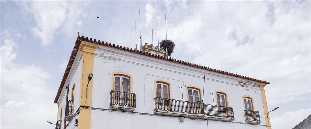 Foto | Ricardo Zambujo