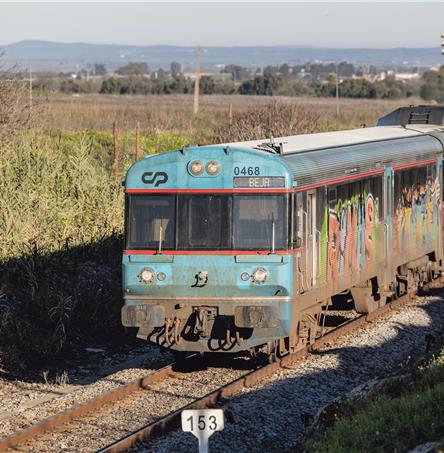 Foto | Ricardo Zambujo