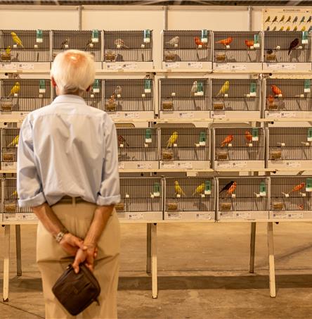 Foto | Ricardo Zambujo