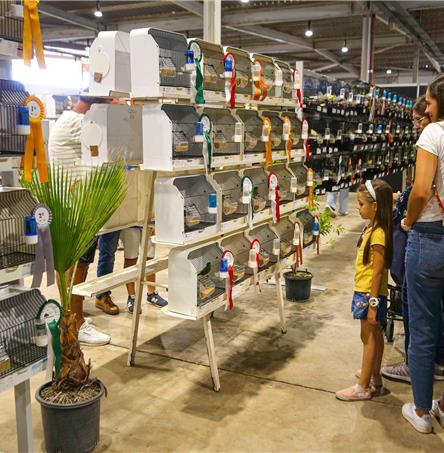 Foto | Câmara Municipal de Beja