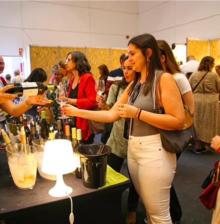 Foto | Câmara Municipal de Beja