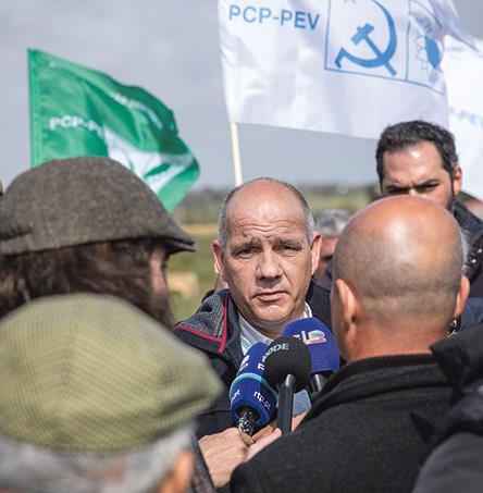 Foto | Ricardo Zambujo