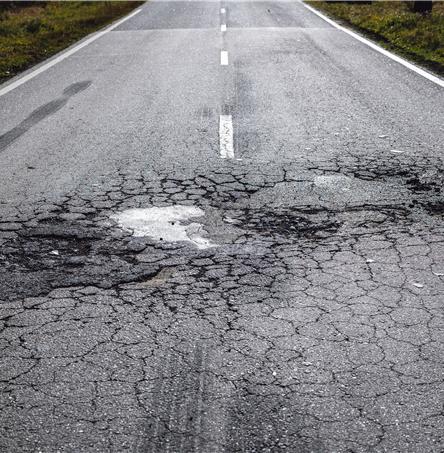 Foto | Ricardo Zambujo