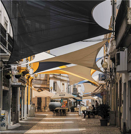 Foto | Ricardo Zambujo