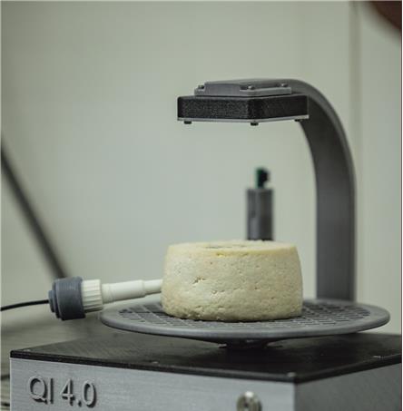 Foto | Ricardo Zambujo