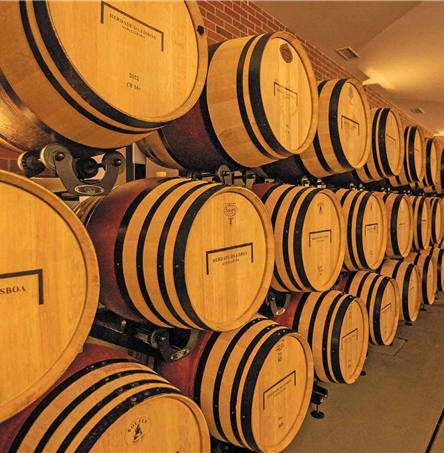 Fotos | Ricardo Zambujo