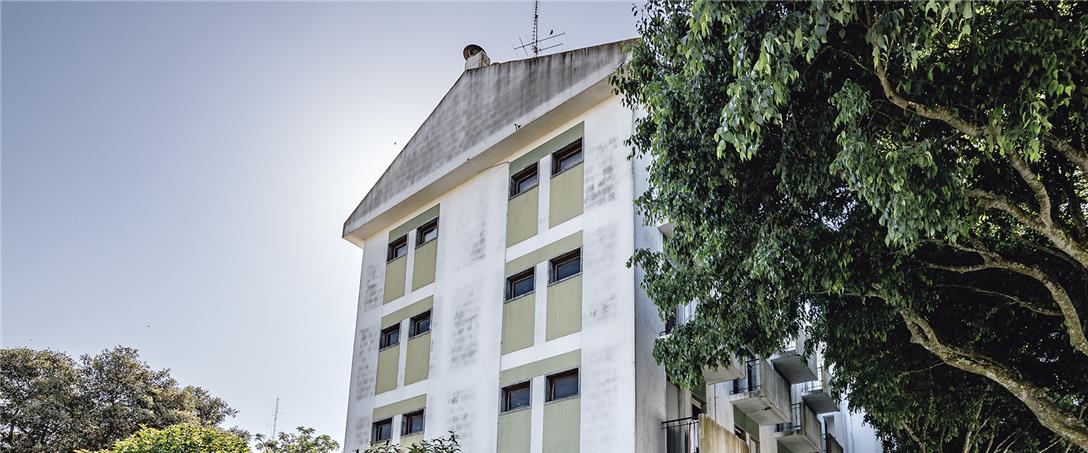 Foto | Ricardo Zambujo