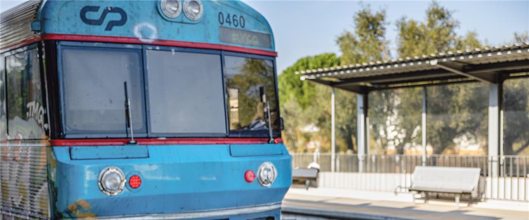 Foto | Ricardo Zambujo