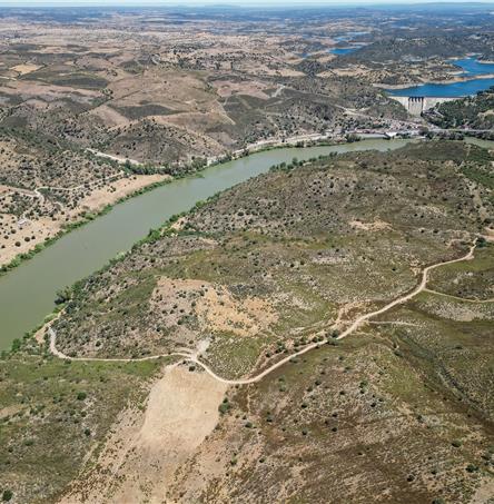 Foto | Ricardo Zambujo