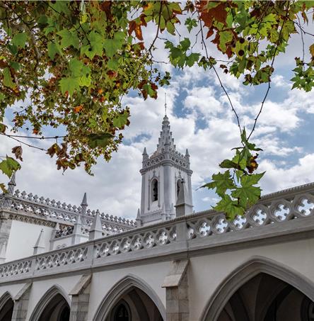 Foto | Ricardo Zambujo