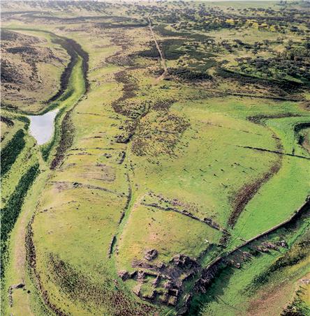 Foto| Ricardo Zambujo