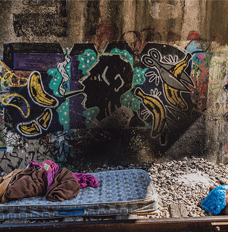 Foto | Ricardo Zambujo