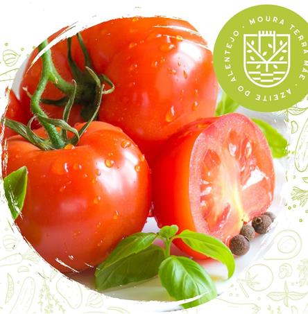 Foto | Câmara Municipal de Moura