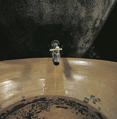 Foto | Ricardo Zambujo