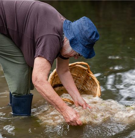 Fotos | Ricardo Zambujo