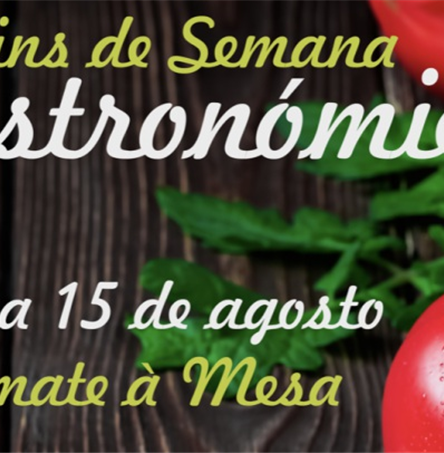 Foto | Câmara Municipal de Moura