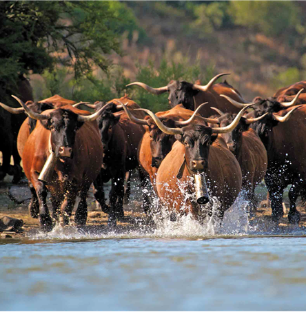 Fotos | Ricardo Guerreiro