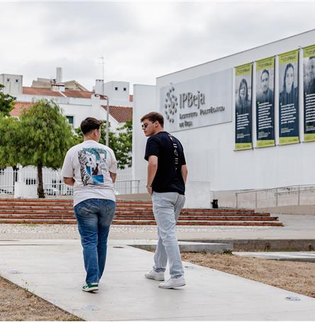 Foto | Ricardo Zambujo