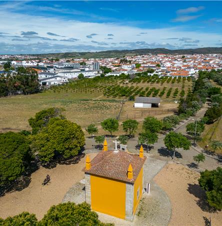Fotos | Ricardo Zambujo