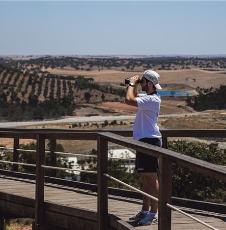 Fotos | Ricardo Zambujo