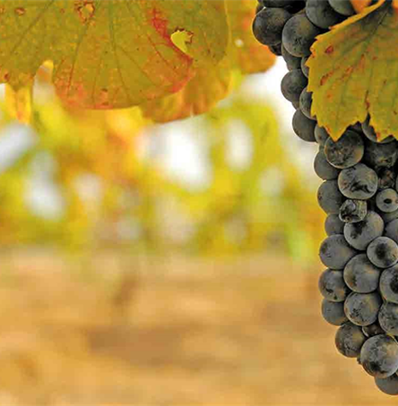 Foto | José Serrano