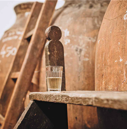 Fotos | Ricardo Zambujo