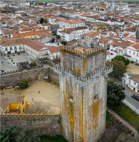 Foto | Ricardo Zambujo