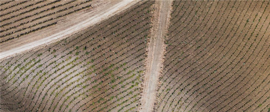 Foto| Ricardo Zambujo