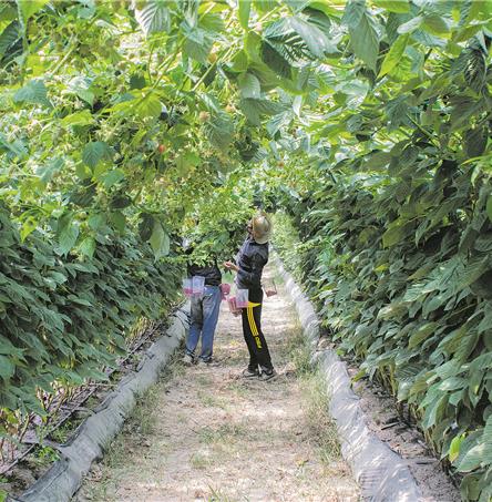 José Serrano/Arquivo