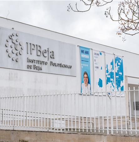 Foto | Ricardo Zambujo