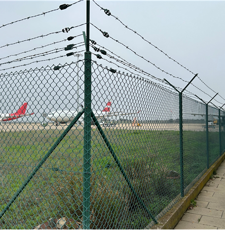 Foto | Diário do Alentejo