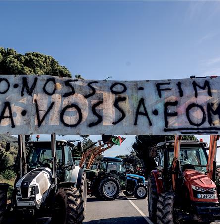 Foto | Ricardo Zambujo/Arquivo