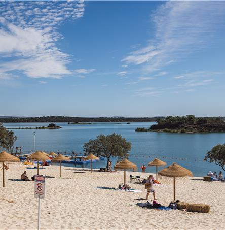 Foto | Ricardo Zambujo