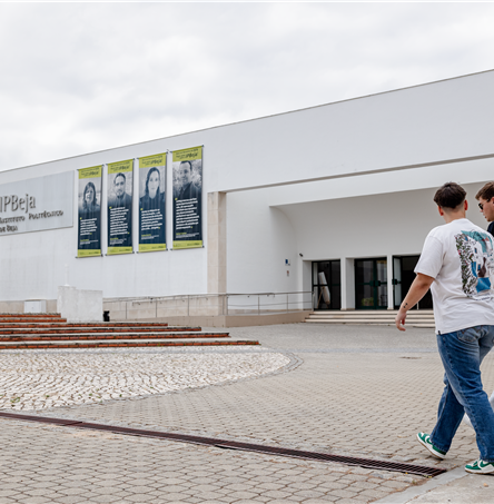 Foto | Ricardo Zambujo