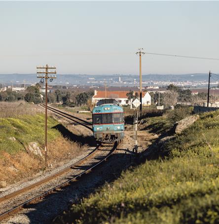 Foto | Ricardo Zambujo