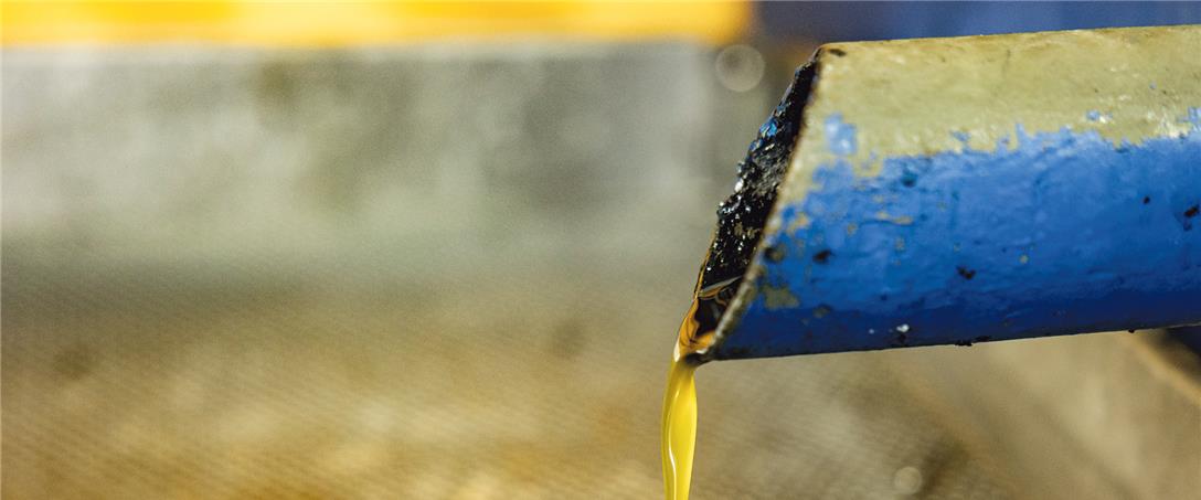 Foto | Ricardo Zambujo