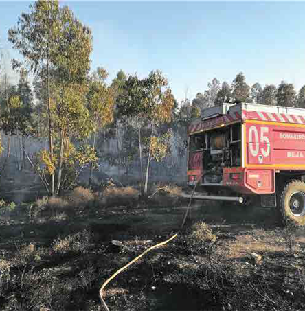 Foto | Câmara Municipal de Beja