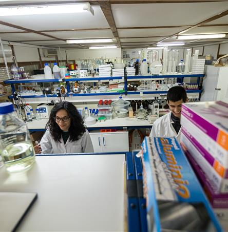 Foto | Ricardo Zambujo