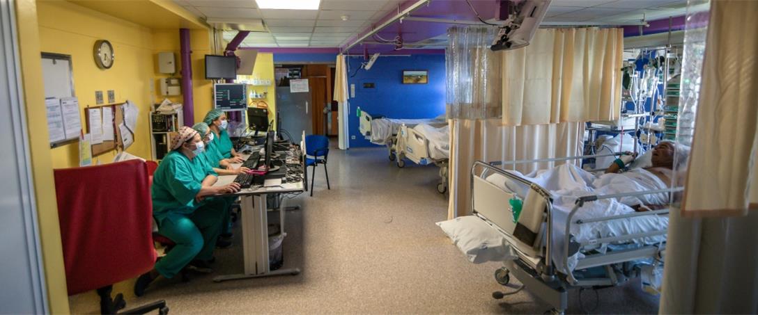 Foto | Ricardo Zambujo