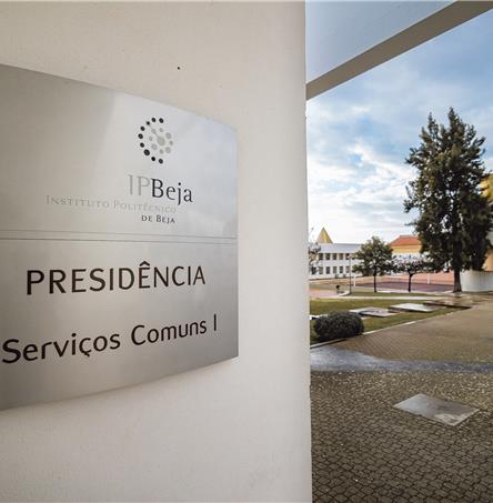 Foto | Ricardo Zambujo