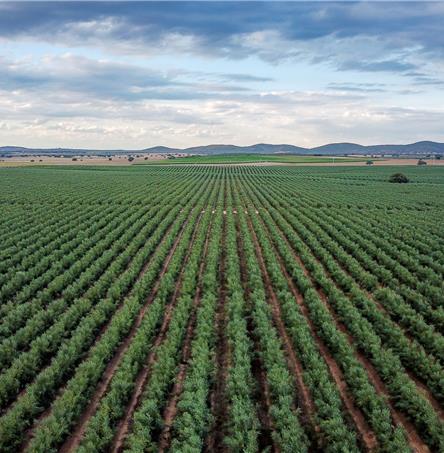 Foto | Ricardo Zambujo