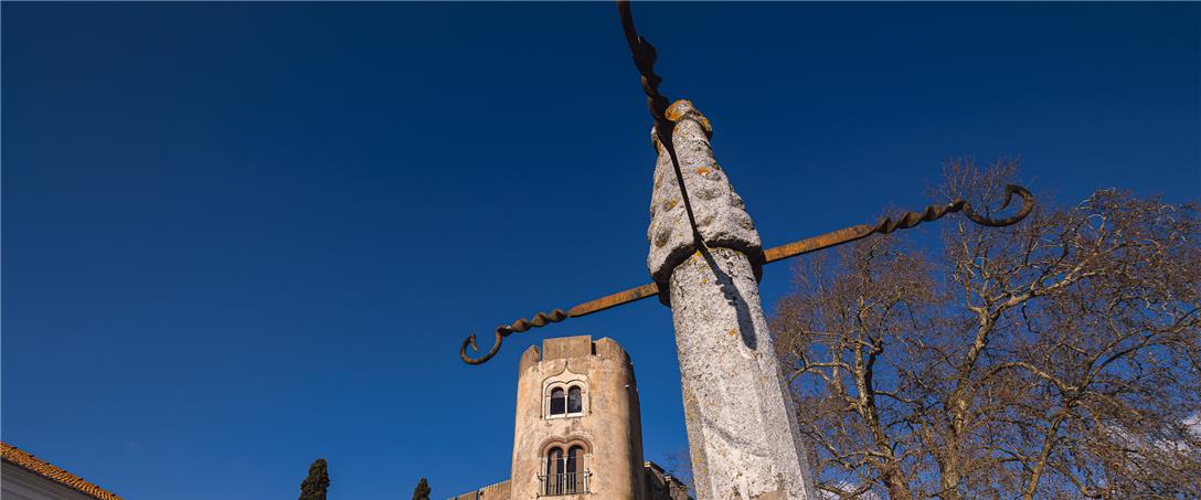 Foto | Ricardo Zambujo